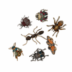 Insectos - Imagen 2