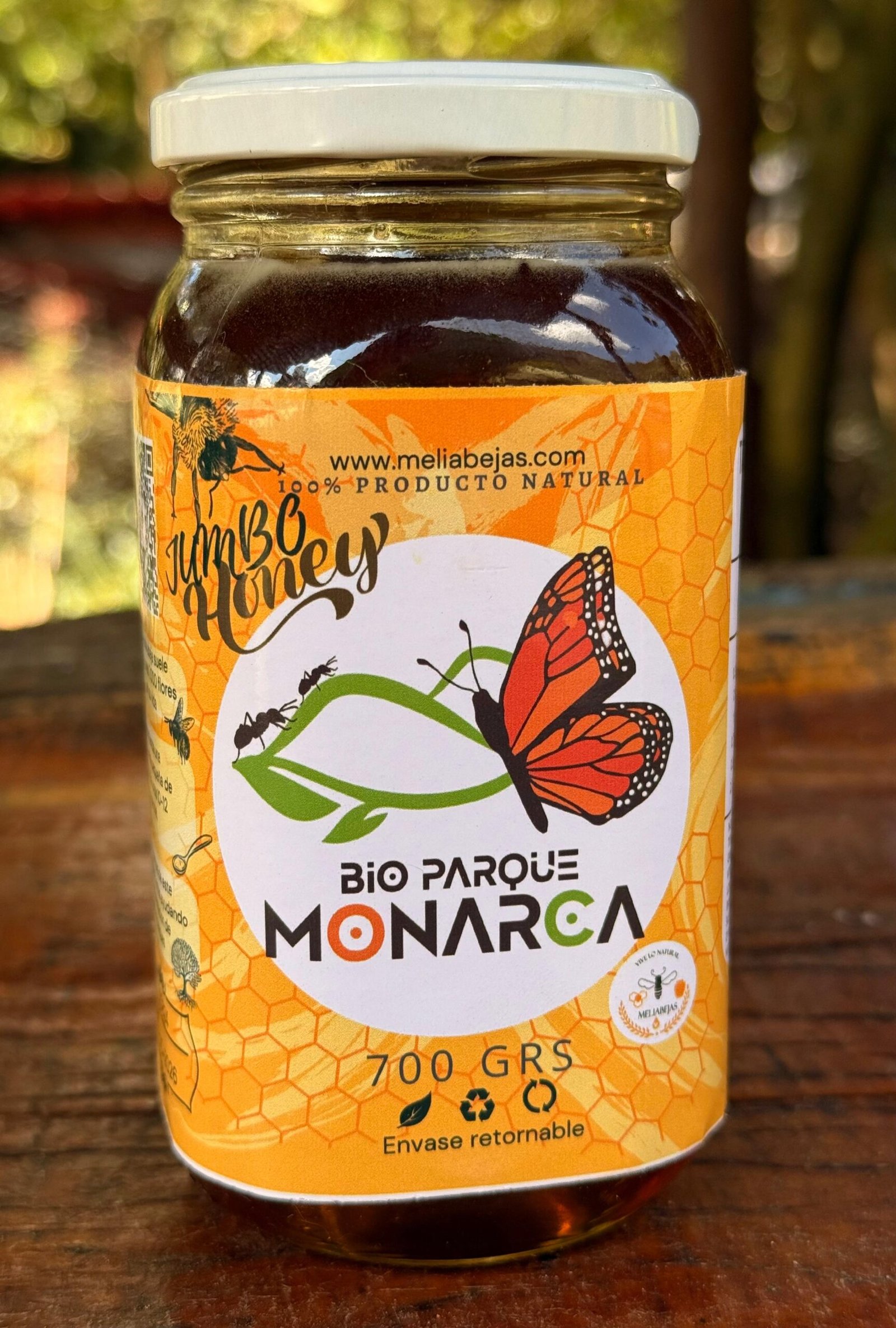 IMG-20241219-WA0038 Miel Jumbo Monarca 700 Gr - Imagen 1