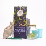 Plan Carnívora Venus Atrapamoscas