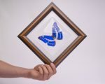 Cuadro de Mariposa Cypris (Morpho Cypris)